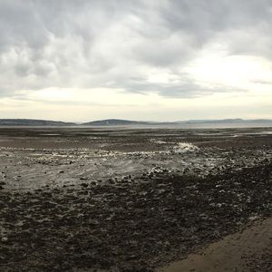 Meet your Posher, Paulina